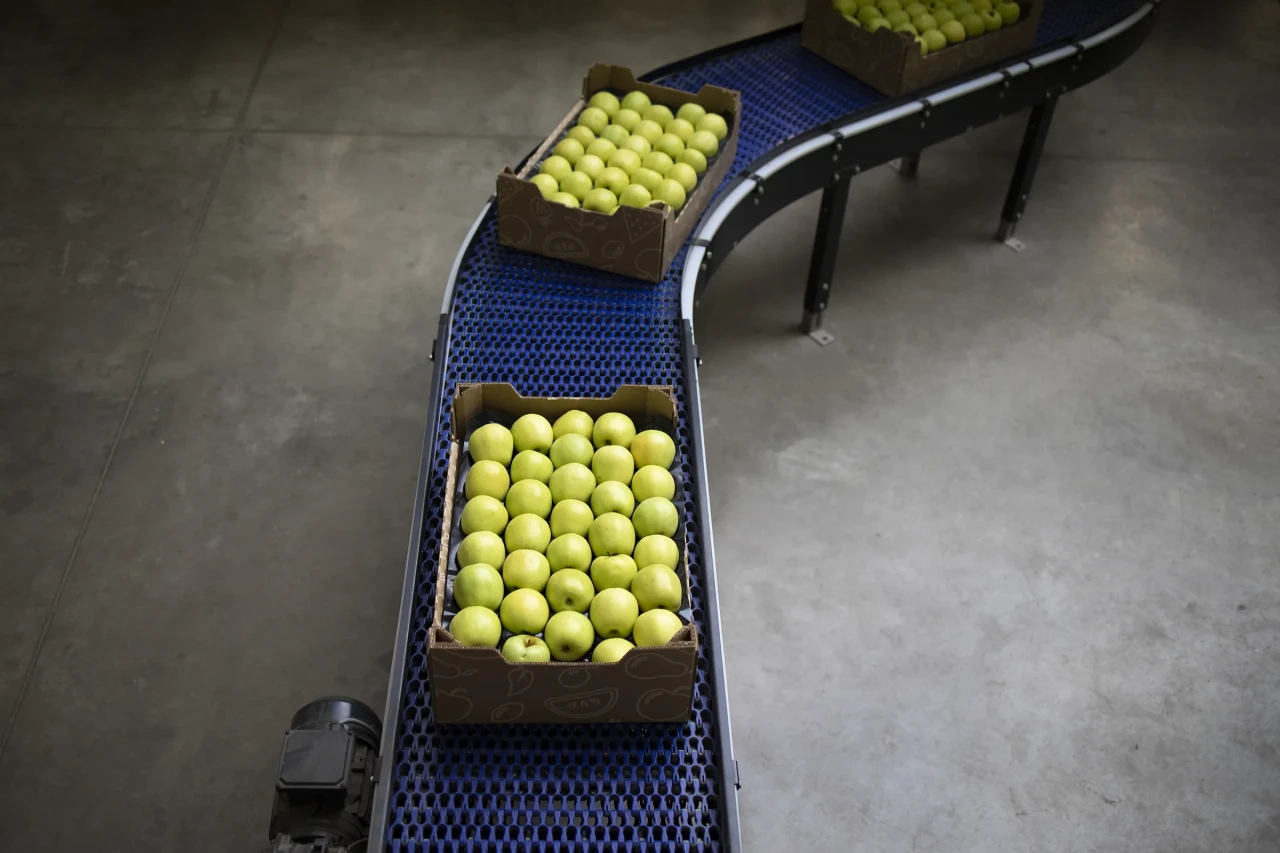 ultimo-food-beverage-3.webp