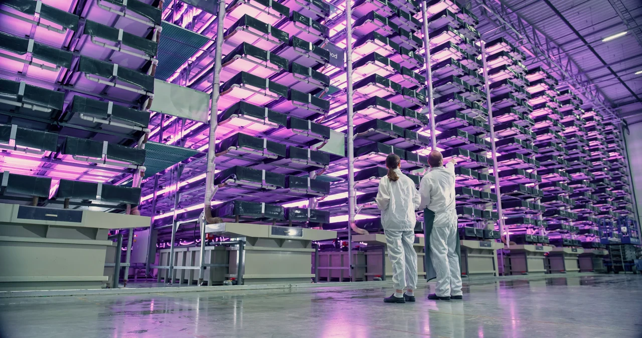 ultimo-manufacturing-18.webp